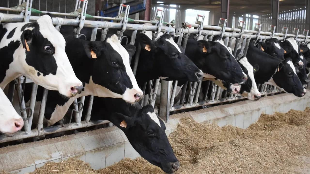 Agrégation: le trait d’union idoine entre l’amont et l’aval