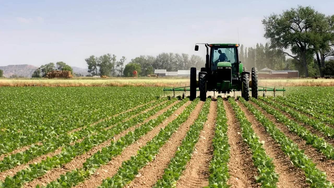 Agriculture: une embellie inattendue redonne espoir au monde rural