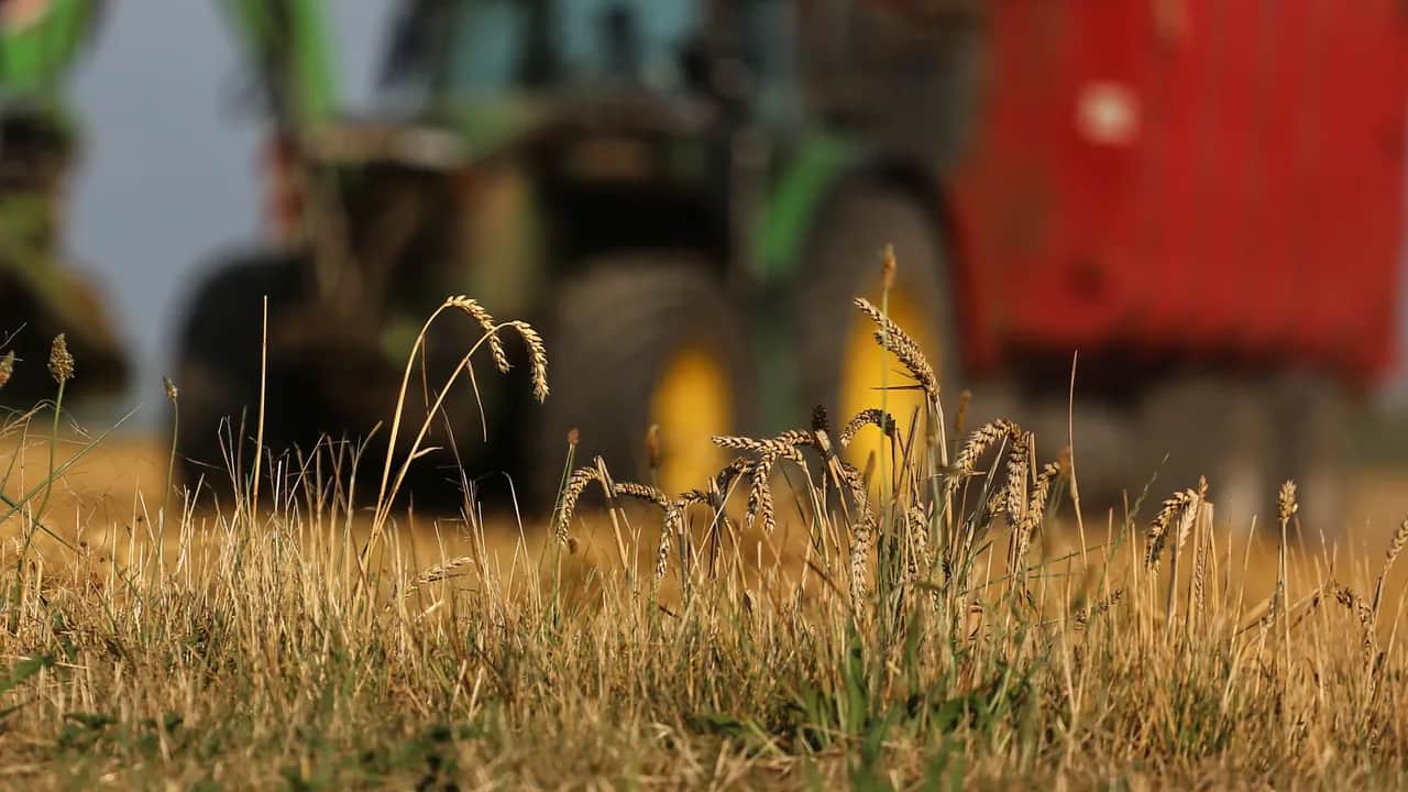 Assurance agricole: à l’épreuve des changements climatiques