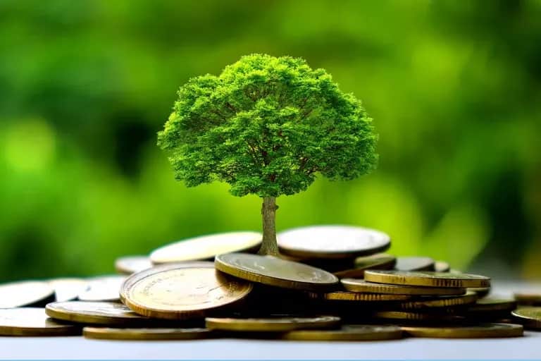 BAD : la part des financements climatiques atteint 45% de l'investissement total en 2022