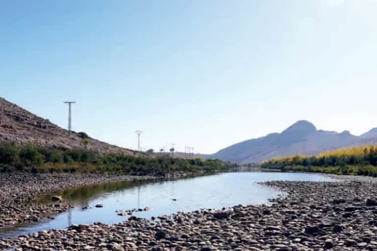 Campagne agricole : le déficit hydrique plombe le secteur