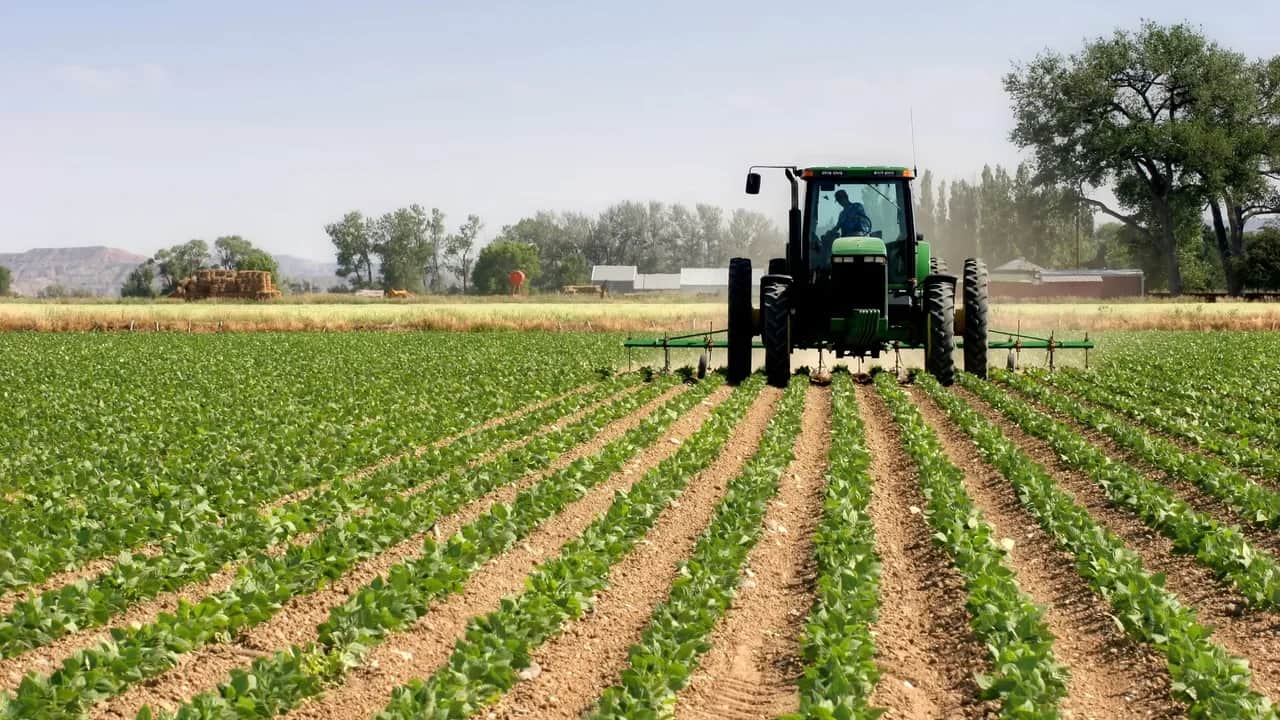 Campagne agricole: l’espoir renait dans le monde rural