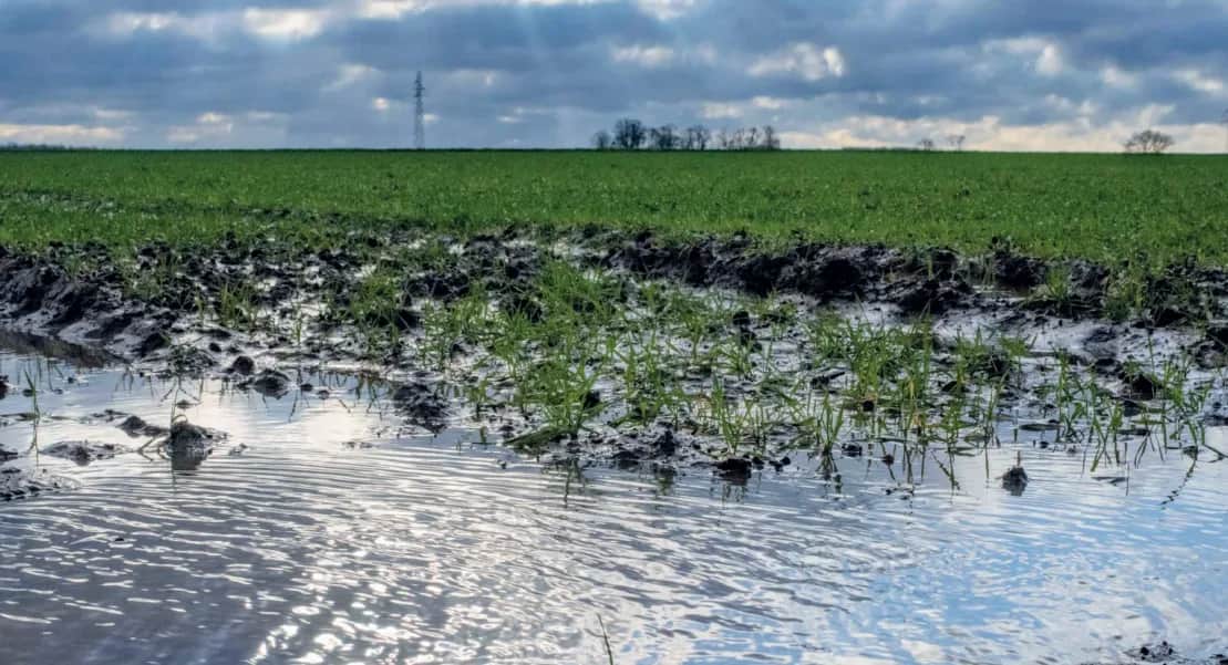 Campagne agricole : pour se rattraper, les exploitants tablent sur les cultures printanières