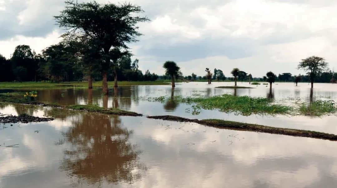 Campagne agricole: des pluies abondantes, mais aussi des sinistres