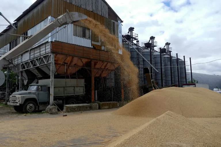 Céréales: bousculade attendue sur le marché mondial cette année