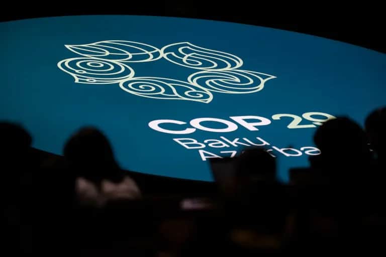 COP29 : un accord au rabais