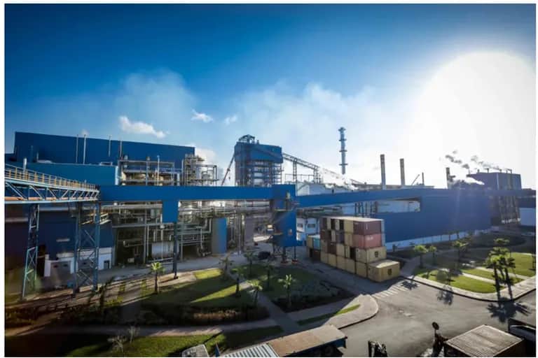 Cosumar relance la filière sucrière avec un objectif de 600.000 tonnes en 2026