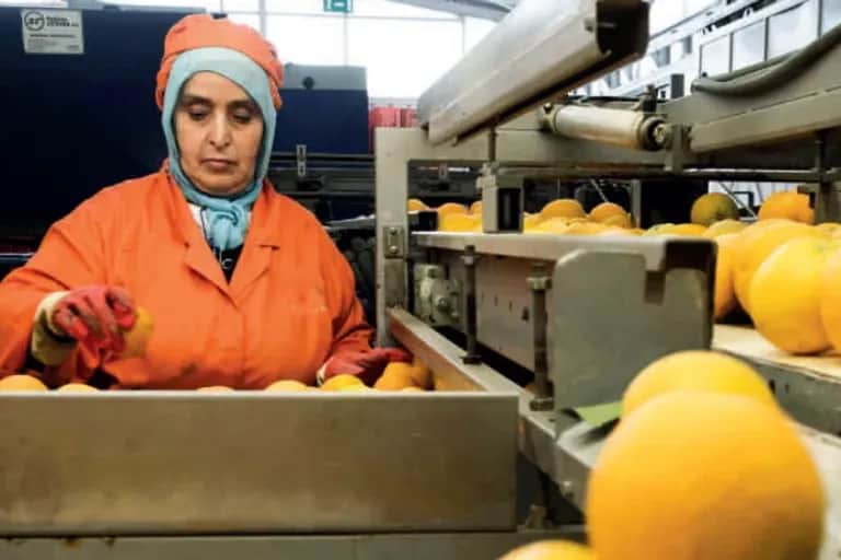 Exportations agricoles : préserver l’élan, affronter la norme