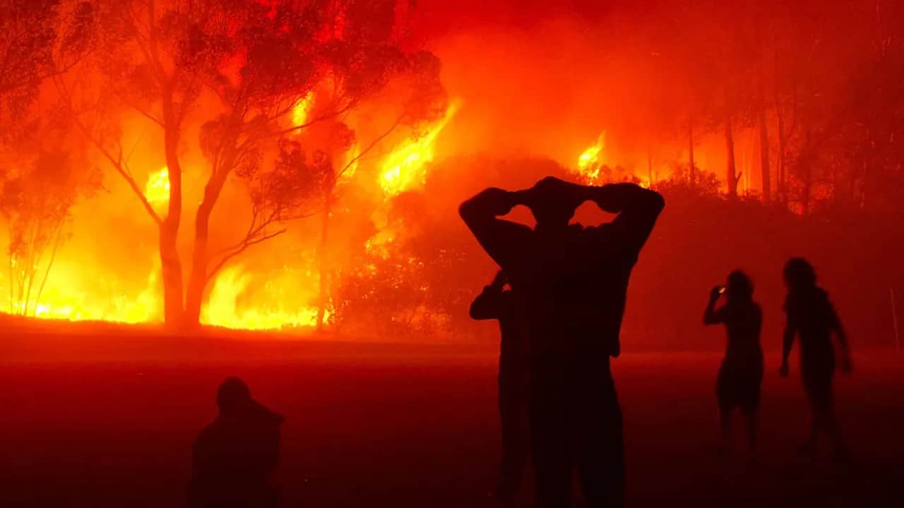 Feux de forêts au Maroc: les leçons à tirer pour l’avenir