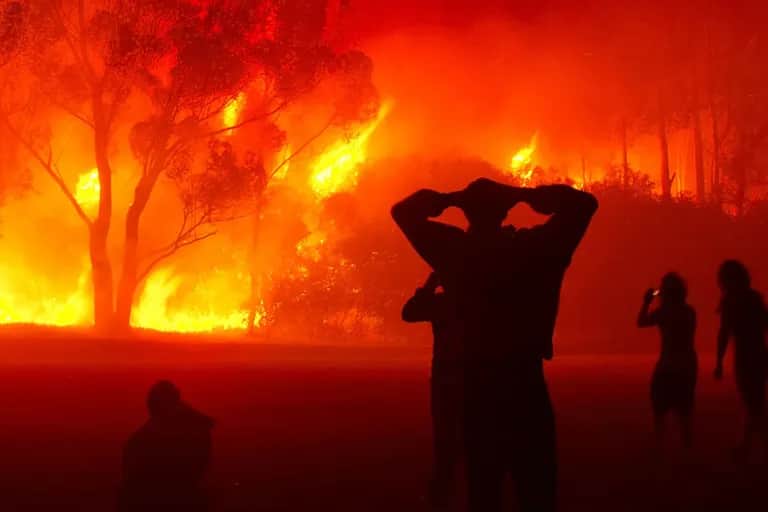 Feux de forêts au Maroc: les leçons à tirer pour l’avenir