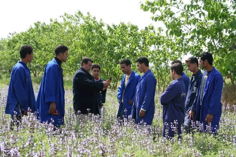 Formation: un levier majeur pour accompagner l’essor du secteur