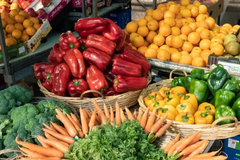 Maroc - Espagne: les exportations de fruits et légumes en hausse de 10% à fin juillet 2024