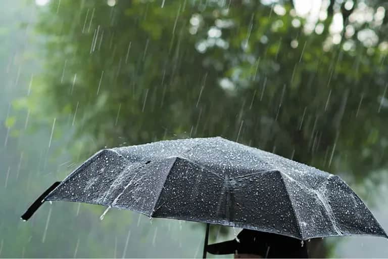 Météo : averses orageuses, fortes chaleurs et rafales de vent attendues jusqu’à dimanche