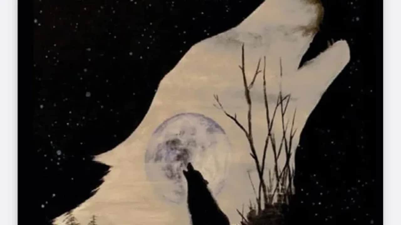 Parution : «Richard cœur de loup»