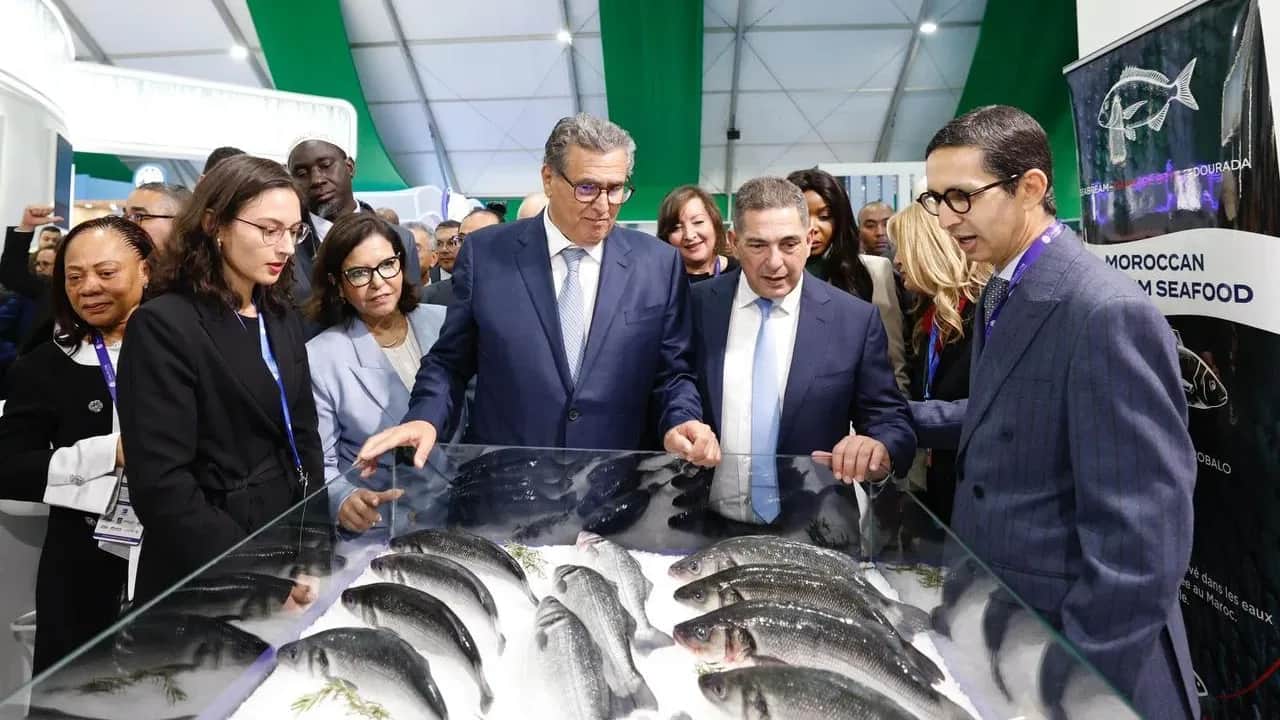 Agadir : lancement de la 7ème édition du salon “Halieutis”