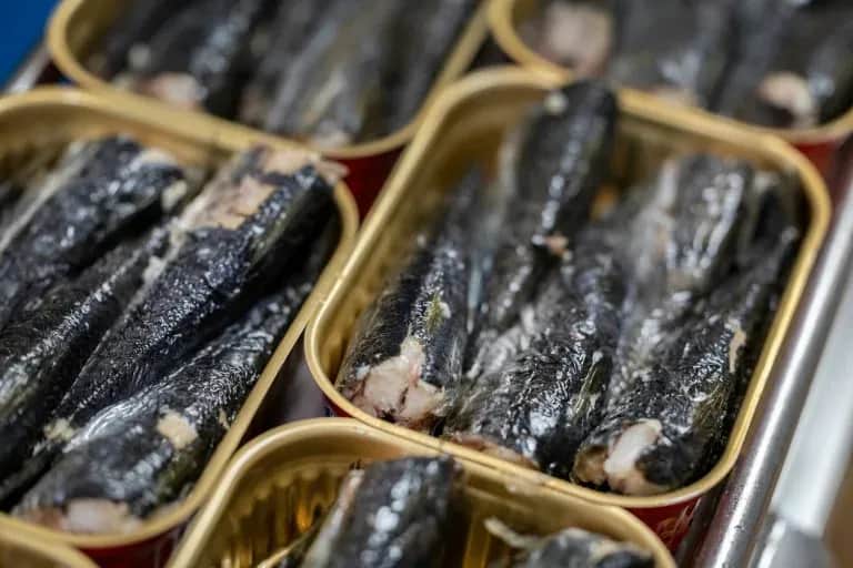 Sardine industrielle : le Conseil de la concurrence ouvre une enquête pour entente présumée sur les prix