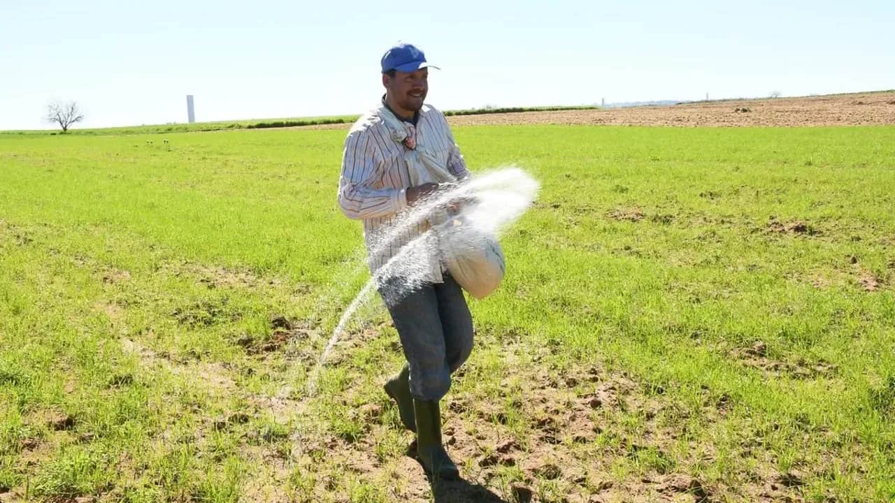 Sécheresse: à la quête de variétés de plantes résistantes