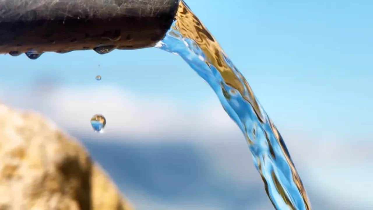 Stress hydrique: goutte à goutte