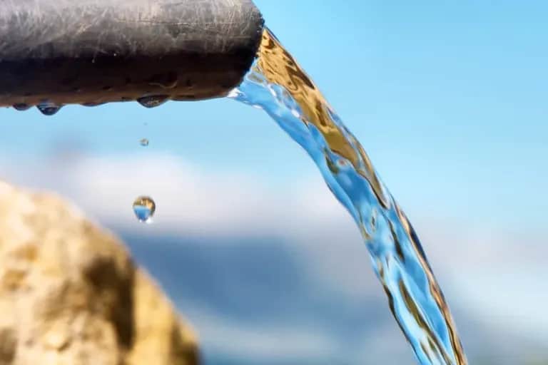 Stress hydrique: goutte à goutte