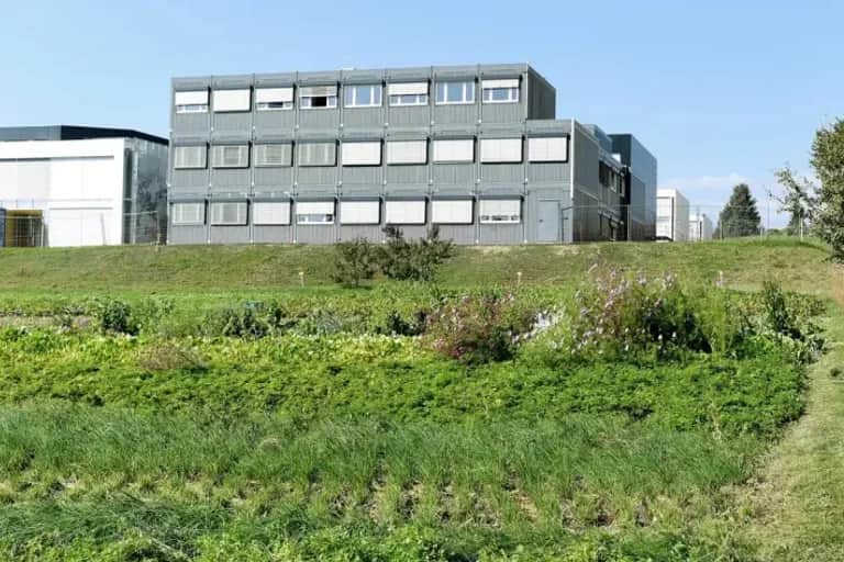 Taxe sur les terrains non bâtis : la réforme fiscale à l’épreuve du terrain