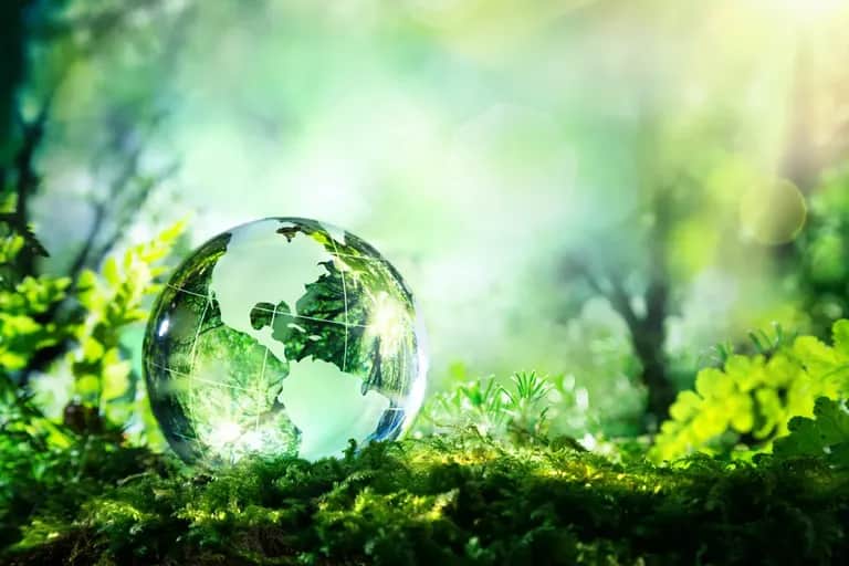 Un enjeu économique et environnemental