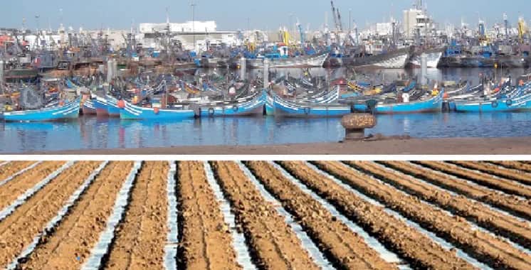 Dépenses fiscales : L'agriculture et la pêche dépassent 2,3 milliards de DH