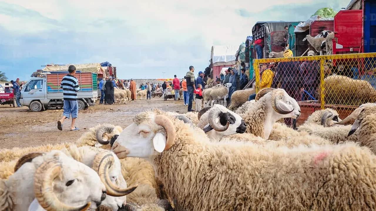 Aïd Al-Adha : prolongation du week-end avec un jour férié exceptionnel
