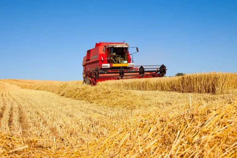 Assurance agricole: la multirisque, un bouclier contre les aléas climatiques