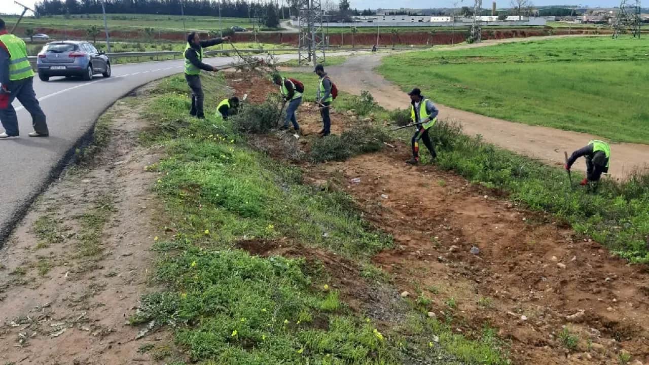 Awrach: les travaux de la deuxième édition vont bon train