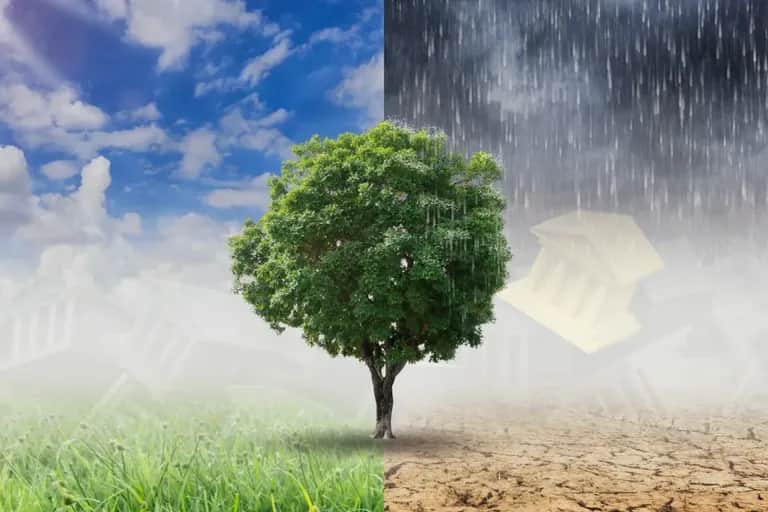 Risques climatiques au Maroc : quels enjeux pour les banques ?