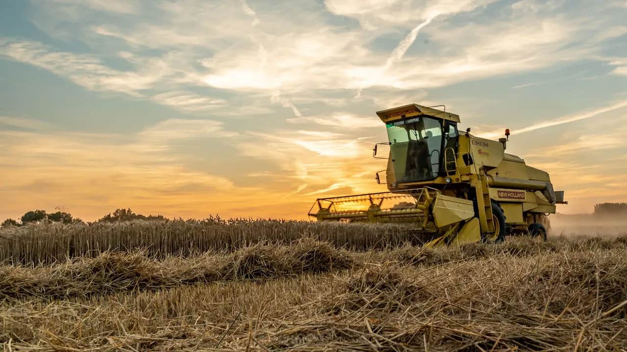Campagne agricole 2023-2024 : une année à oublier