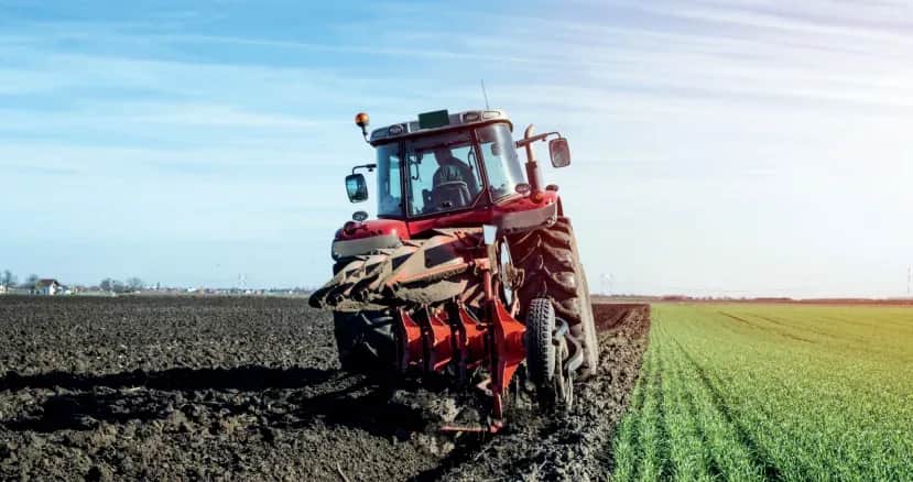 Campagne agricole 2026/2027 : optimisme mesuré dans le monde rural, les fellahs espèrent une année pluvieuse