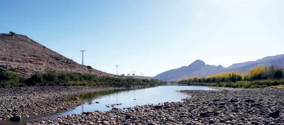 Campagne agricole : le déficit hydrique plombe le secteur