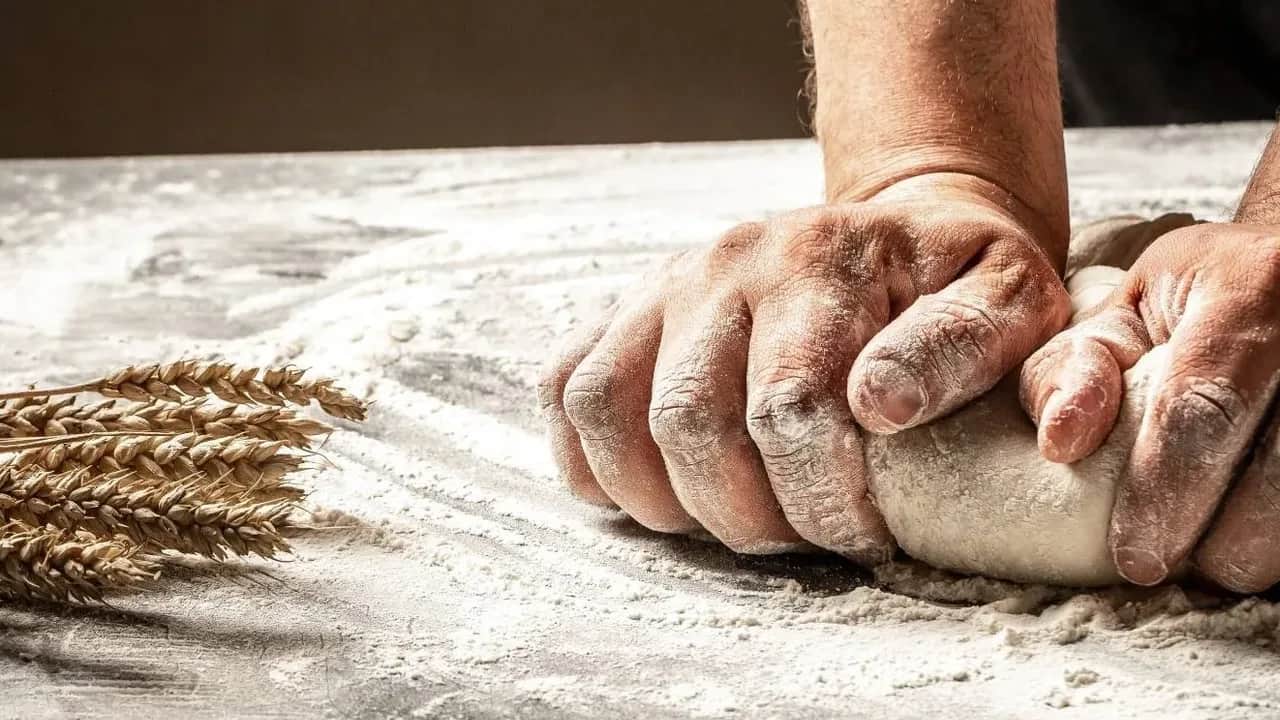 Céréales: le Maroc aurait besoin de 8,3 millions de tonnes de l’étranger