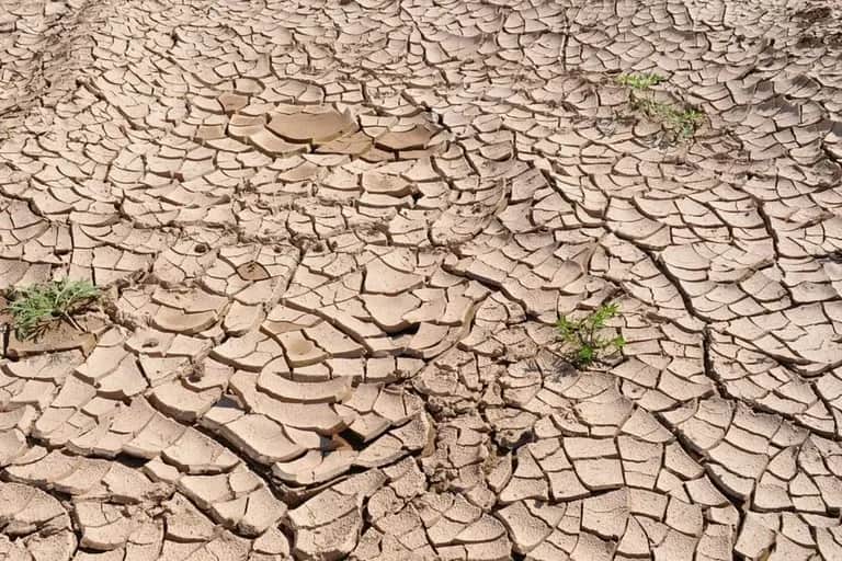 Changement climatique: un accélérateur de l’exode rural