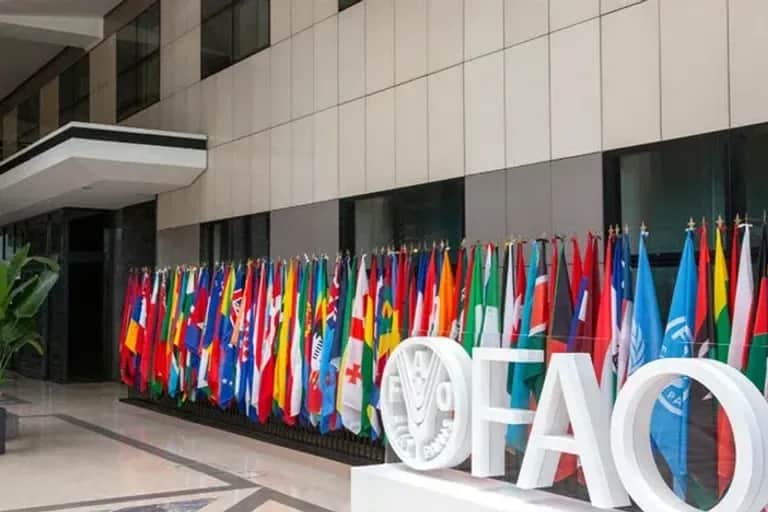 Le Maroc accueille la 33ème session de la Conférence régionale de la FAO pour l'Afrique