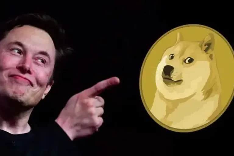Cryptomonnaies : une plainte réclame 258 milliards de dollars à Elon Musk pour son soutien au dogecoin