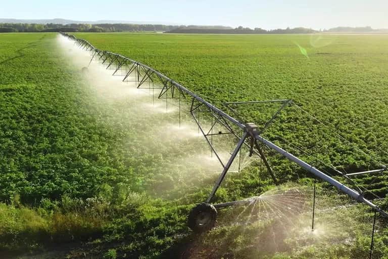 Cultures consommatrices d’eau : faut-il revoir le modèle agricole marocain ?