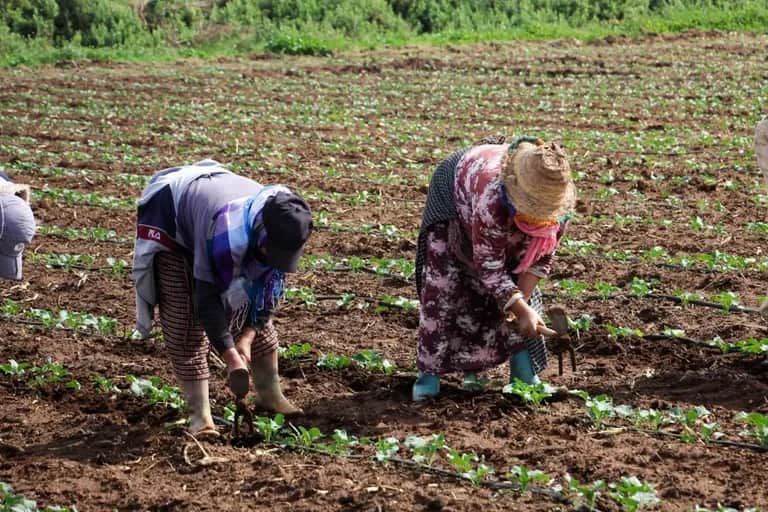 Développement agricole: pourquoi il faut une stratégie spécifique pour les petits exploitants