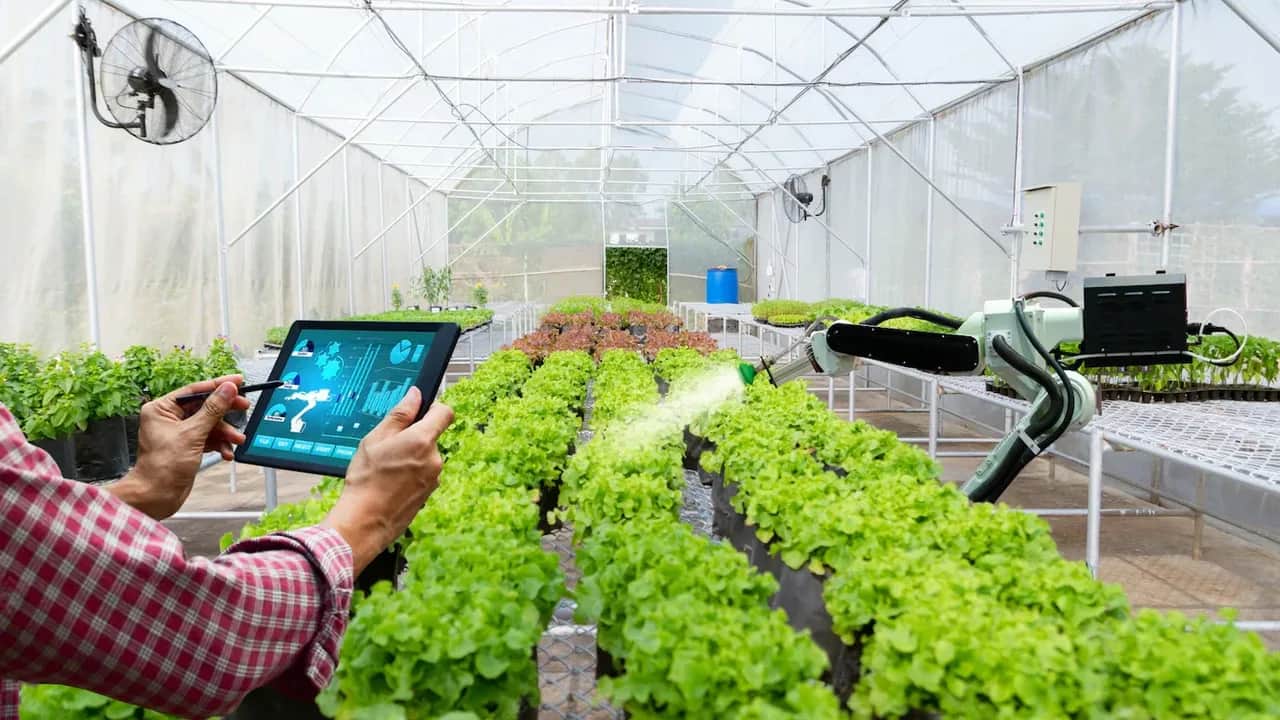 E-services: le pari de la digitalisation du monde agricole