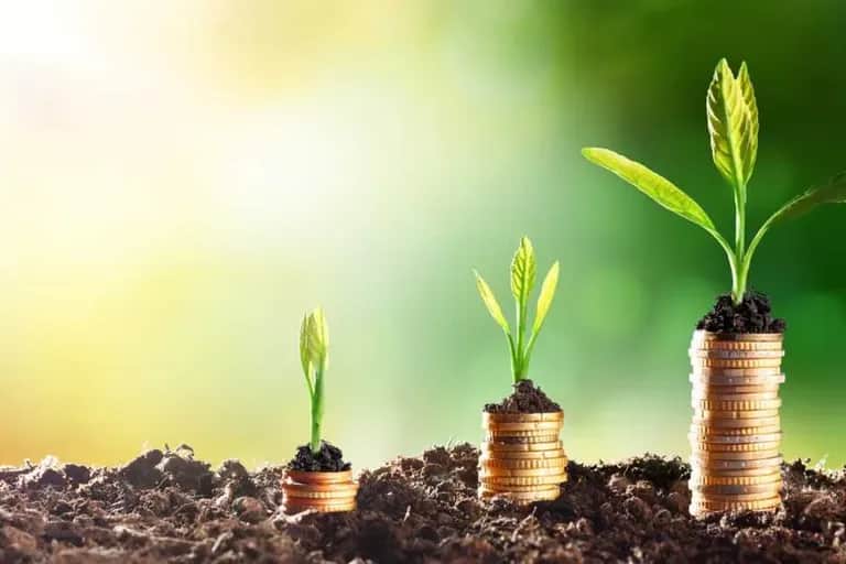 Emploi vert: le CFYE prépare le lancement de son 2ème appel à solutions
