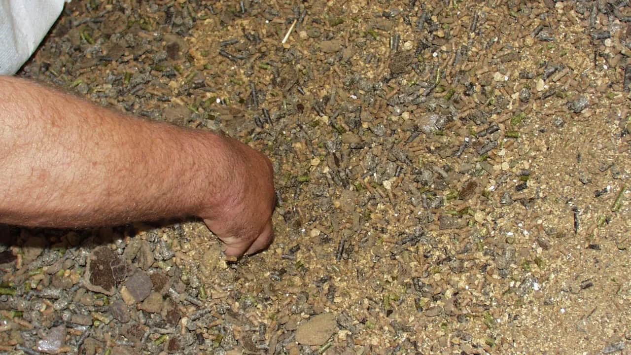 Filière des provendiers: victime de la conjoncture