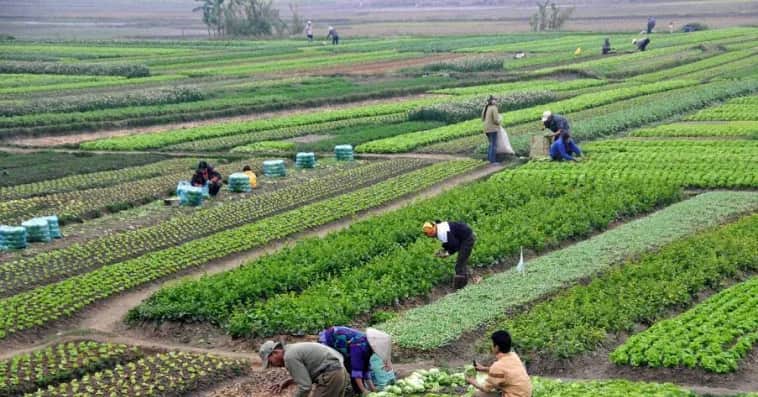 Génération Green : la persistance de la sécheresse fragilise l’emploi rural