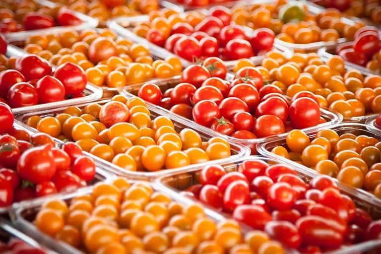 Prix des tomates: vives inquiétudes à l’approche du Ramadan