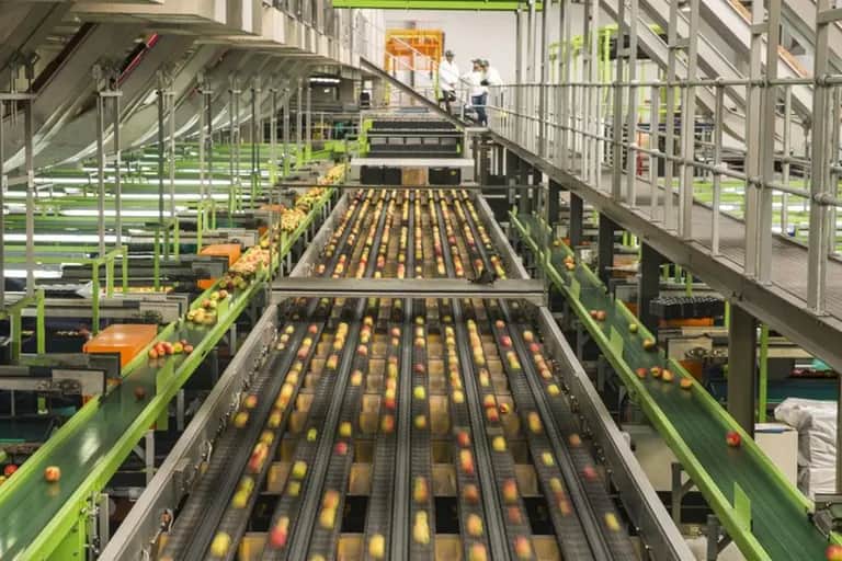 Industrie agroalimentaire: grosse tension sur les marges des entreprises