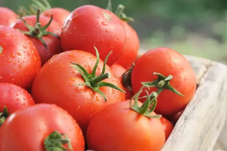 Inflation: mon manuel de survie… ou pas