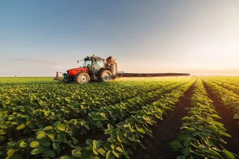 La valeur ajoutée agricole prévisionnelle devrait enregistrer une baisse de 14%
