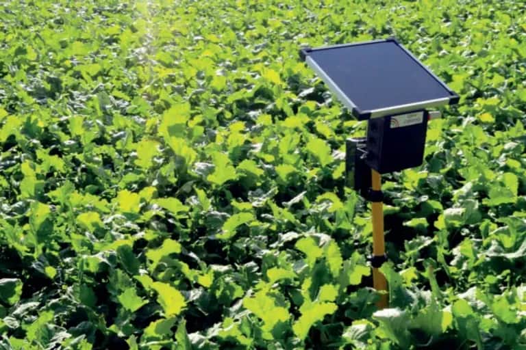 Maroc - France : un partenariat agricole multidimensionnel