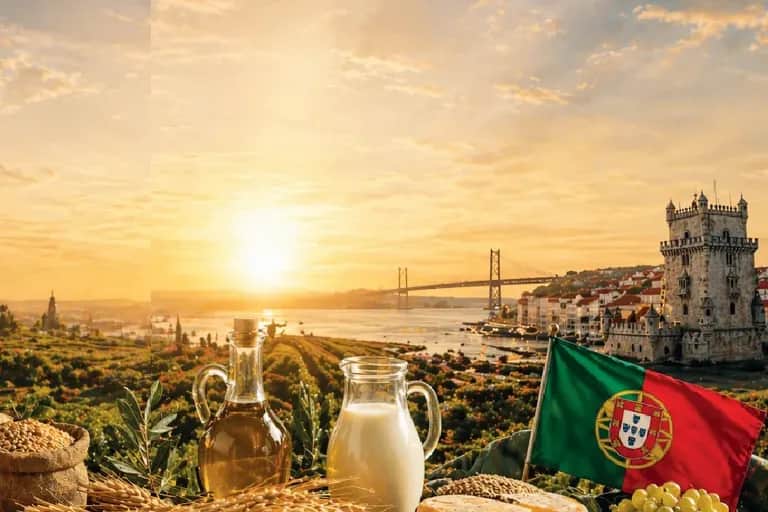 Maroc - Portugal : vers une coopération agricole stratégique au service de la souveraineté alimentaire