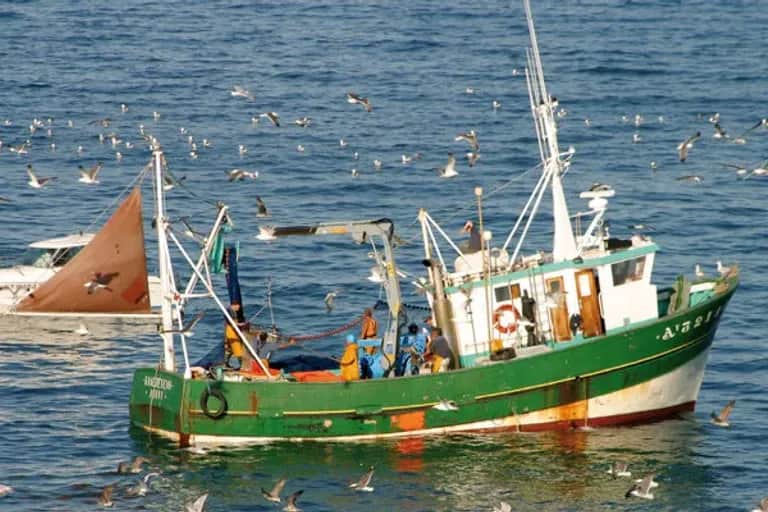 Pêche côtière et artisanale : les débarquements en repli de 11% à fin mai